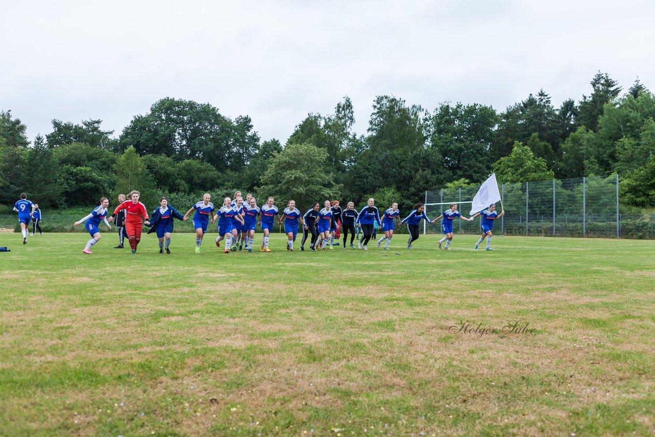 Bild 113 - wBJ FSC Kaltenkirchen - VfR Horst : Ergebnis: 5:0